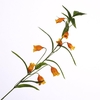 Sandersonia Spray Orange FL440331ORA