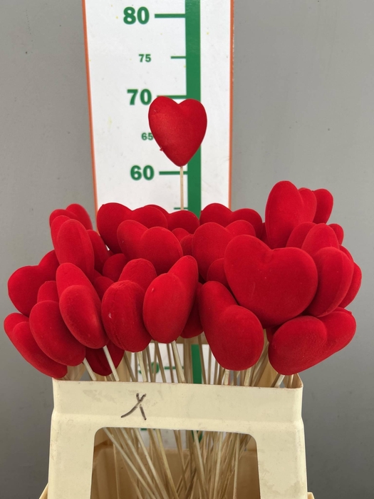 <h4>HART VILT ROOD 6 CM</h4>