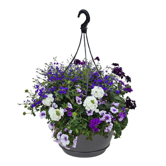 <h4>Hpot MIXpot mixLAAG Lichte kleuren</h4>