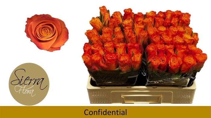 <h4>R Gr Confidential</h4>