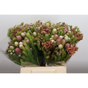 Kaaps Groen Cone Mix Large