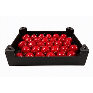 Waxappel Rood Kerst