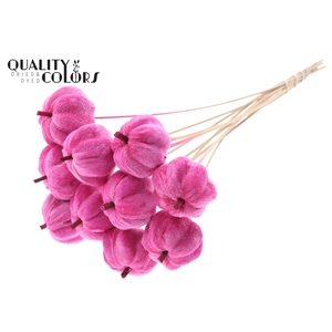 Velvet Pumpkin Ø6cm on stem Cerise