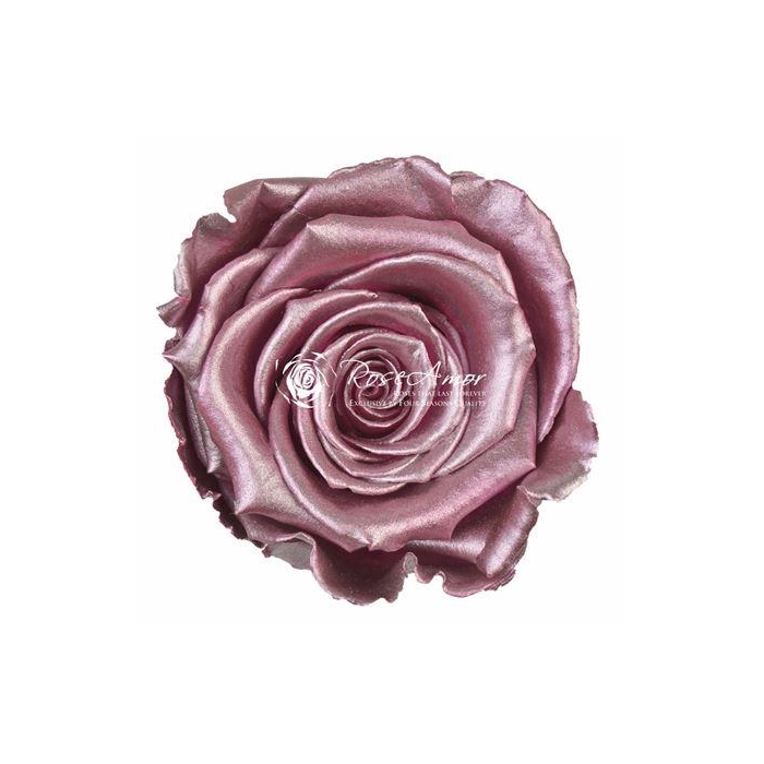 <h4>Xl Metallic Old Pink</h4>