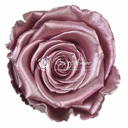 Xl Metallic Old Pink