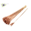 Triticum 3pc/Tuft Copper