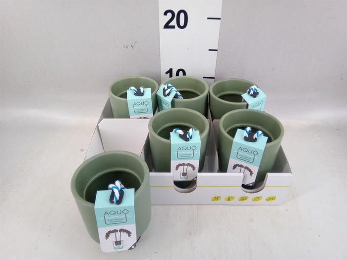 <h4>Pot   ...Keramische H%</h4>