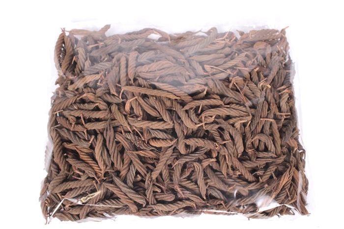 Screw pod 500gr in poly Natural