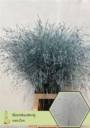 <h4>Siergr Metalic Ice Blue 95 Cm</h4>