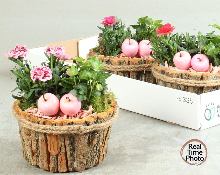 <h4>ARR TUINPLANTEN</h4>