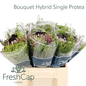 Bouquet Hybrid Single Protea