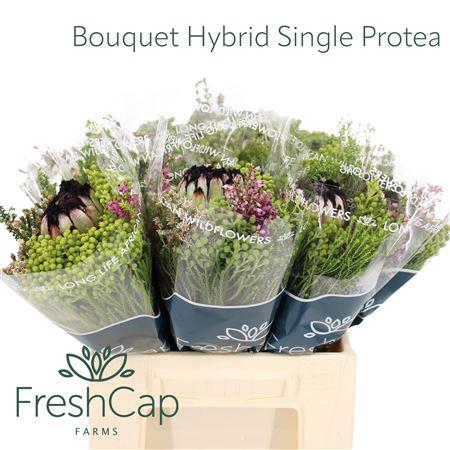 <h4>Bouquet Hybrid Single Protea</h4>