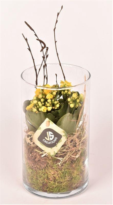 <h4>Glas cilinder 12 cm h20cm</h4>