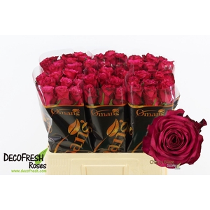 ROSA GR 'CHERRY BLAZE'
