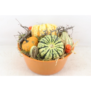 arr4 Sierfruit MB - Zink oranje XL