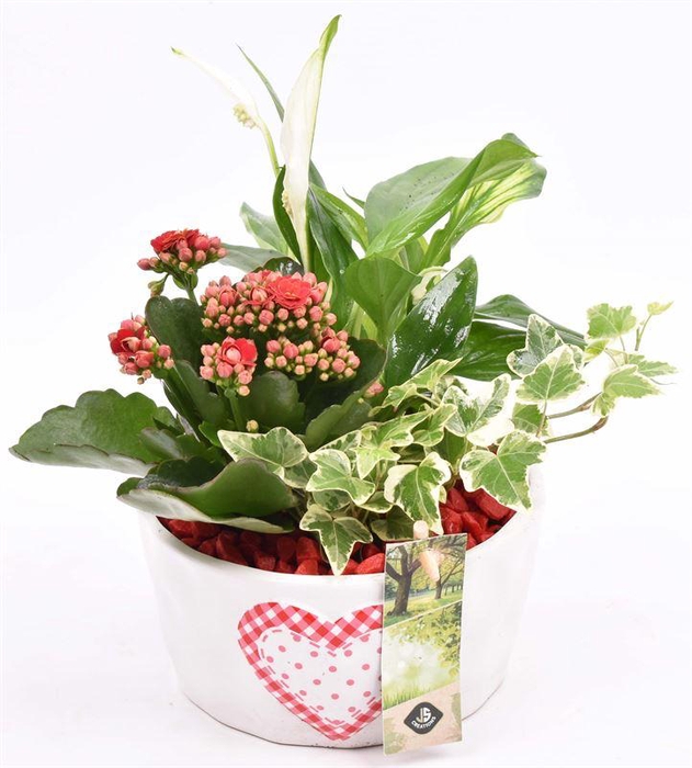 <h4>Keramiek schaal met hart 16cm</h4>