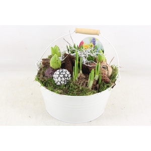 arr4 Bollenmix VL - Emmer white 250/2