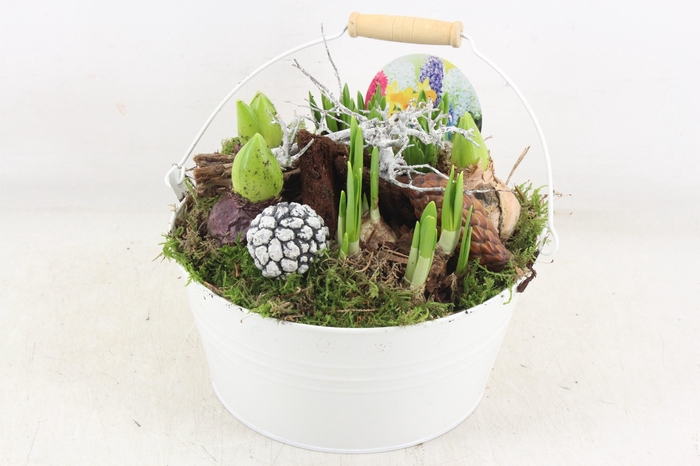 <h4>arr4 Bollenmix VL - Emmer white 250/2</h4>