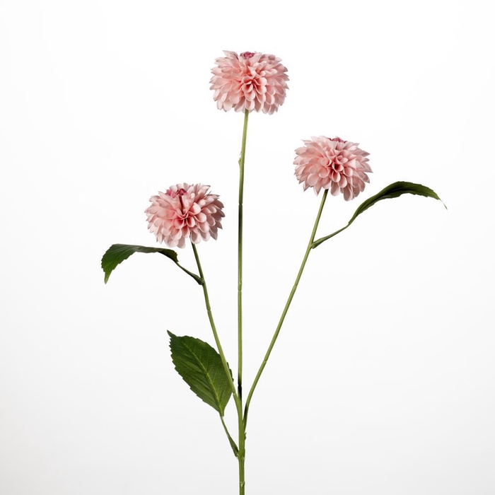 <h4>AF Dahlia pompon x3 L69cm pink</h4>
