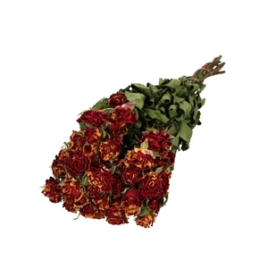 Dried flowers Rose spray 50cm x10