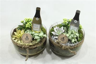 <h4>1877 Bose X3 Hny</h4>