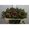 Vibur Op Compactum