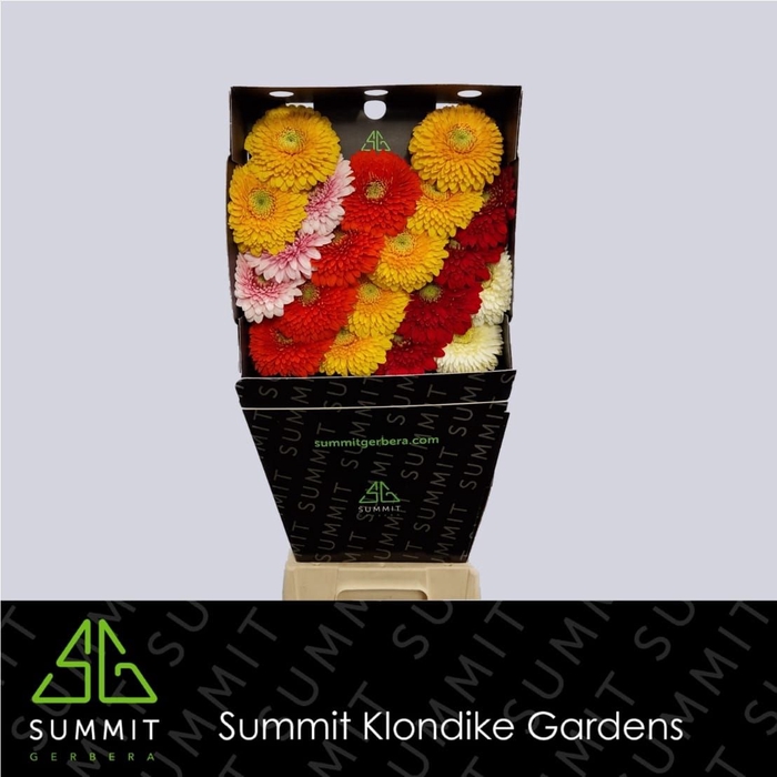 <h4>Germini Pomponi Mix Pomponi Diamond per kaart</h4>
