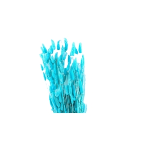 Dried Bleached Lagurus Sky Blue 100gr