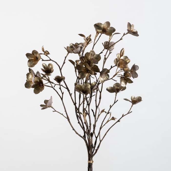<h4>AF Helleborus bund x2 L75cm ma</h4>