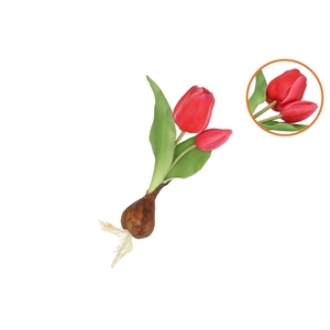 Silk Tulip Bulb Dark Pink 25cm Nm