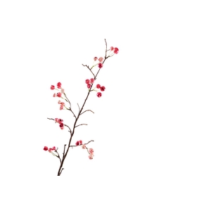 Berry Spray Pink