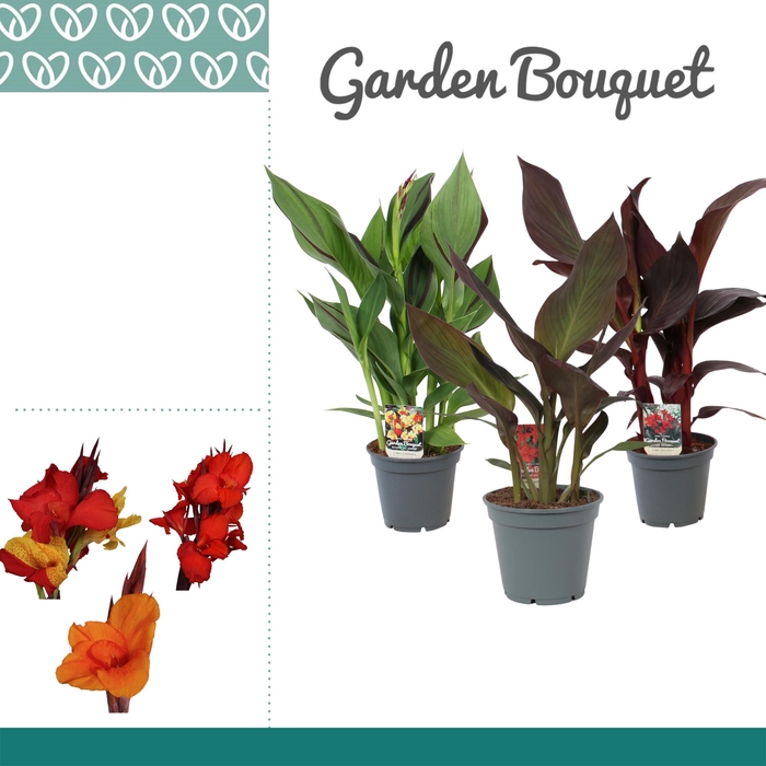 <h4>Canna Exclusieve Mix Zonder Bloem</h4>