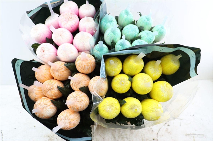 <h4>Chr G Kbh Antonov Spring Mix</h4>