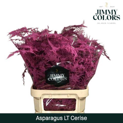 <h4>Aspa Lang Getopt + Glitter Cerise + Glitter</h4>