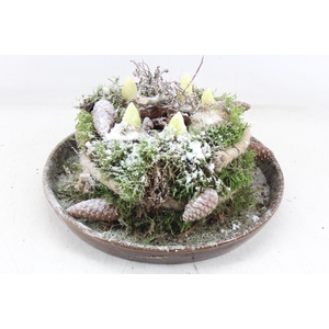 arr4 Hyacint MB - Luxe schotel mosbol L x2