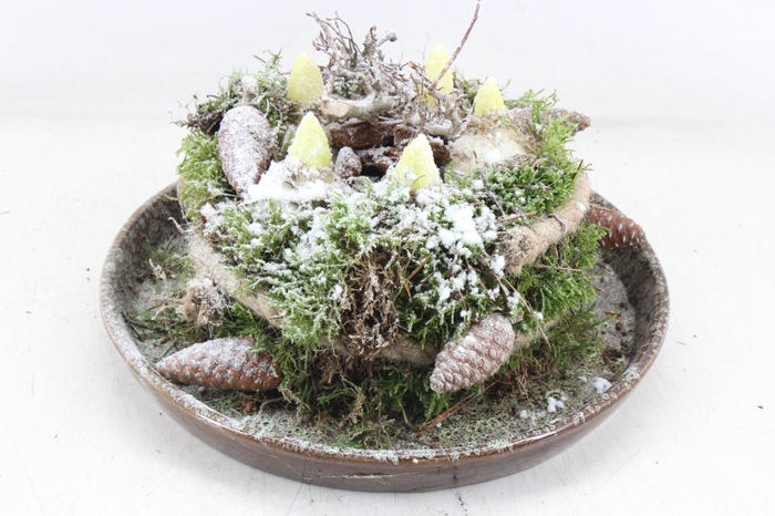 <h4>arr4 Hyacint MB - Luxe schotel mosbol L x2</h4>