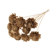 Shola Zinia Ø8cm on stem Antique Gold