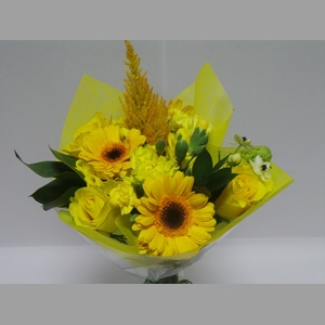 BQ Shorties Yellow
