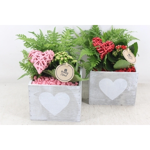 arr2 PL - Hout 4kant hart 338/6 - roze/rood