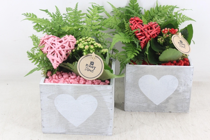 <h4>arr2 PL - Hout 4kant hart 338/6 - roze/rood</h4>