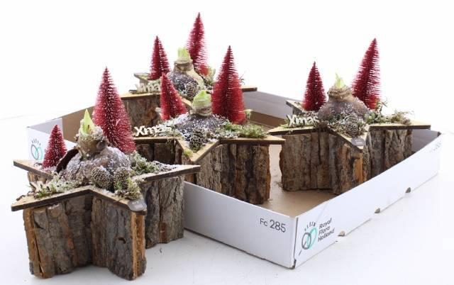 <h4>ARR BOL KNOLGEWAS</h4>