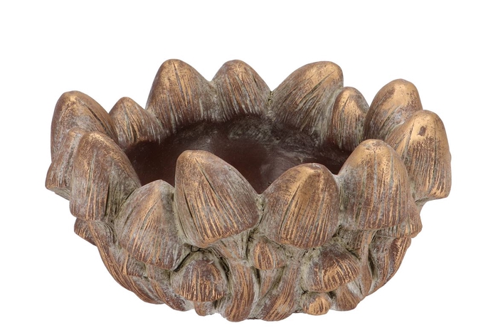 <h4>Concrete Golden Mushrooms Bowl Round 25x25x11cm</h4>