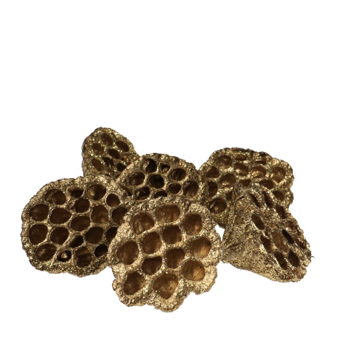<h4>Christmas Deco lotus glitter d08/10cm x6</h4>