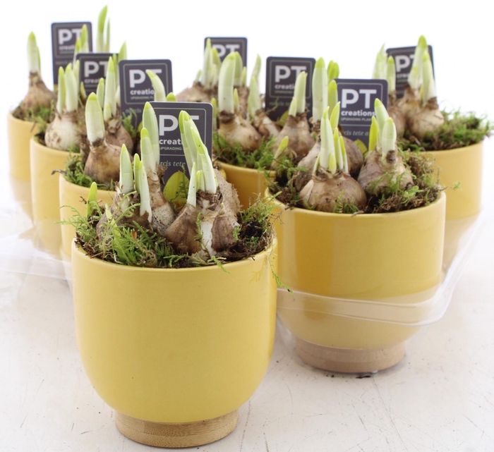 <h4>ARR N TETE A TETE</h4>