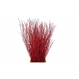 Berk 70cm Gl Rood Pbs