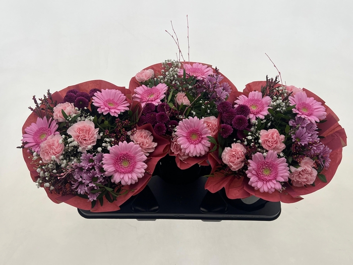 <h4>GEM BOEKET OV</h4>