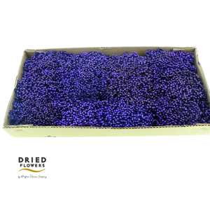 Dried Pepper Berries Purple