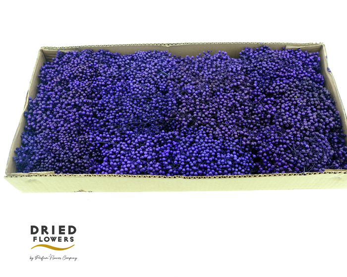 <h4>Dried Pepper Berries Purple</h4>