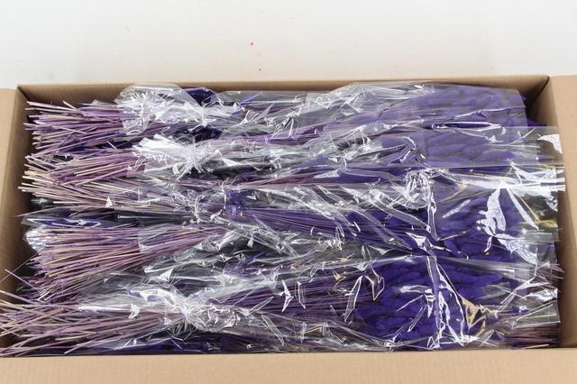DF Lagurus Bs 50g/70cm Milka