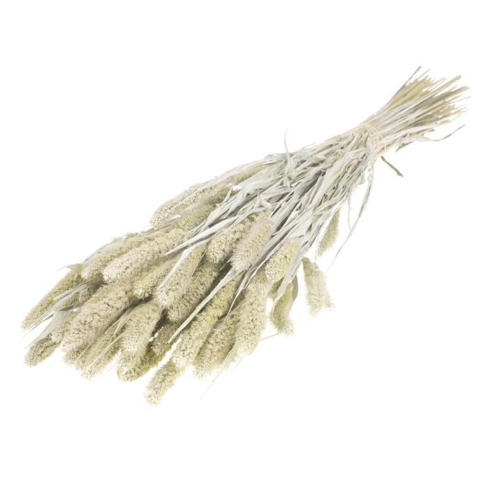 <h4>Setarea White Misty</h4>